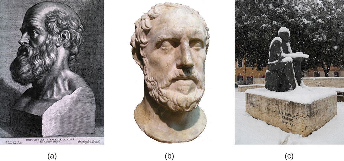 (a) Hippocrates, the “father of Western medicine,” believed that diseases had natural, not supernatural, causes. (b) The historian Thucydides observed that survivors of the Athenian plague were subsequently immune to the infection. (c) Marcus Terentius Varro proposed that disease could be caused by “certain minute creatures . . . which cannot be seen by the eye.”