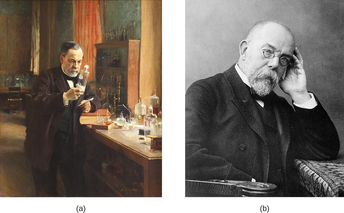 (a) Louis Pasteur (1822–1895) is credited with numerous innovations that advanced the fields of microbiology and immunology. (b) Robert Koch (1843–1910) identified the specific microbes that cause anthrax, cholera, and tuberculosis.