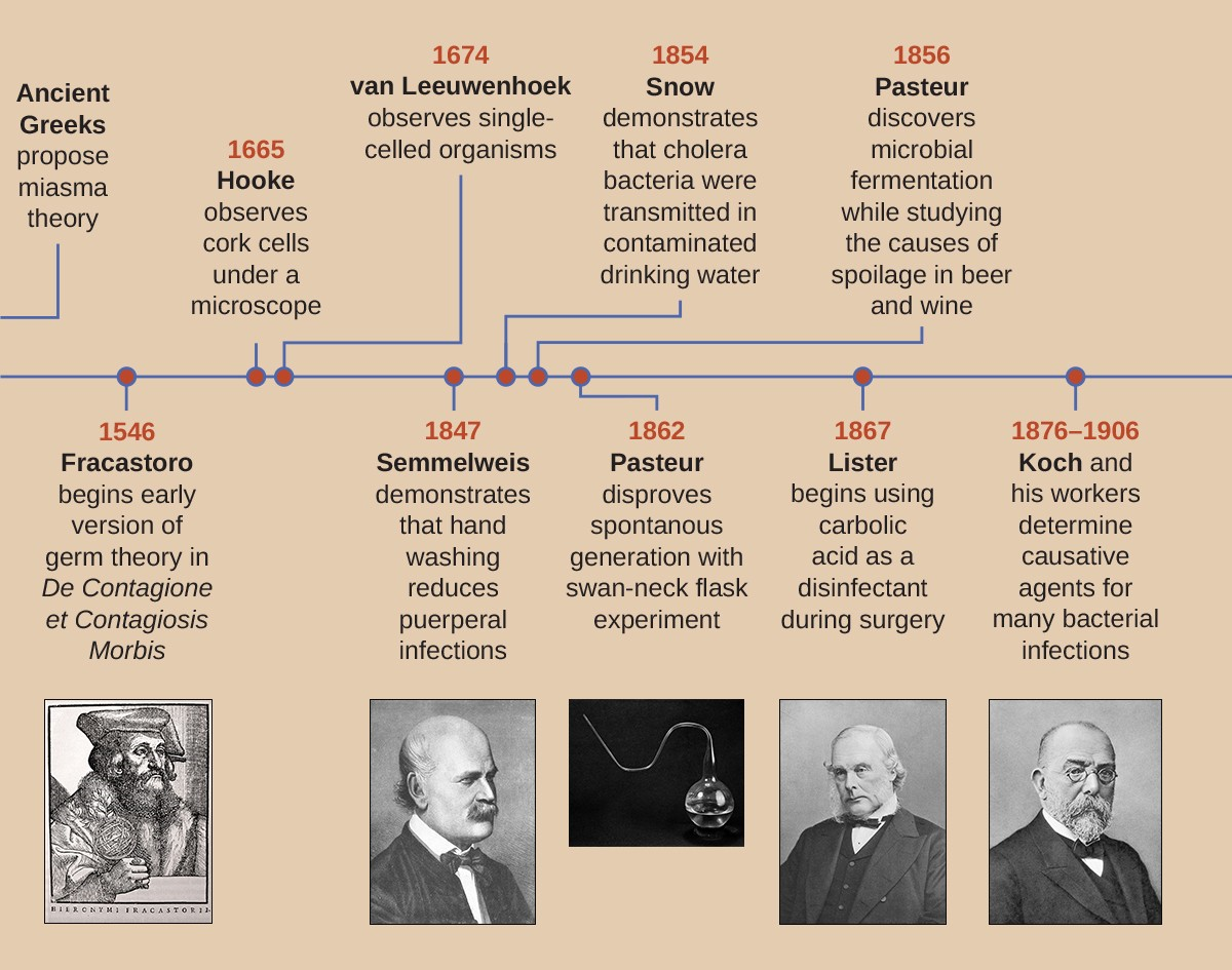 (credit “swan-neck flask”: modification of work by Wellcome Images)