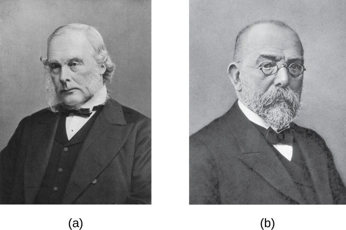 (a) Joseph Lister developed procedures for the proper care of surgical wounds and the sterilization of surgical equipment. (b) Robert Koch established a protocol to determine the cause of infectious disease. Both scientists contributed significantly to the acceptance of the germ theory of disease.