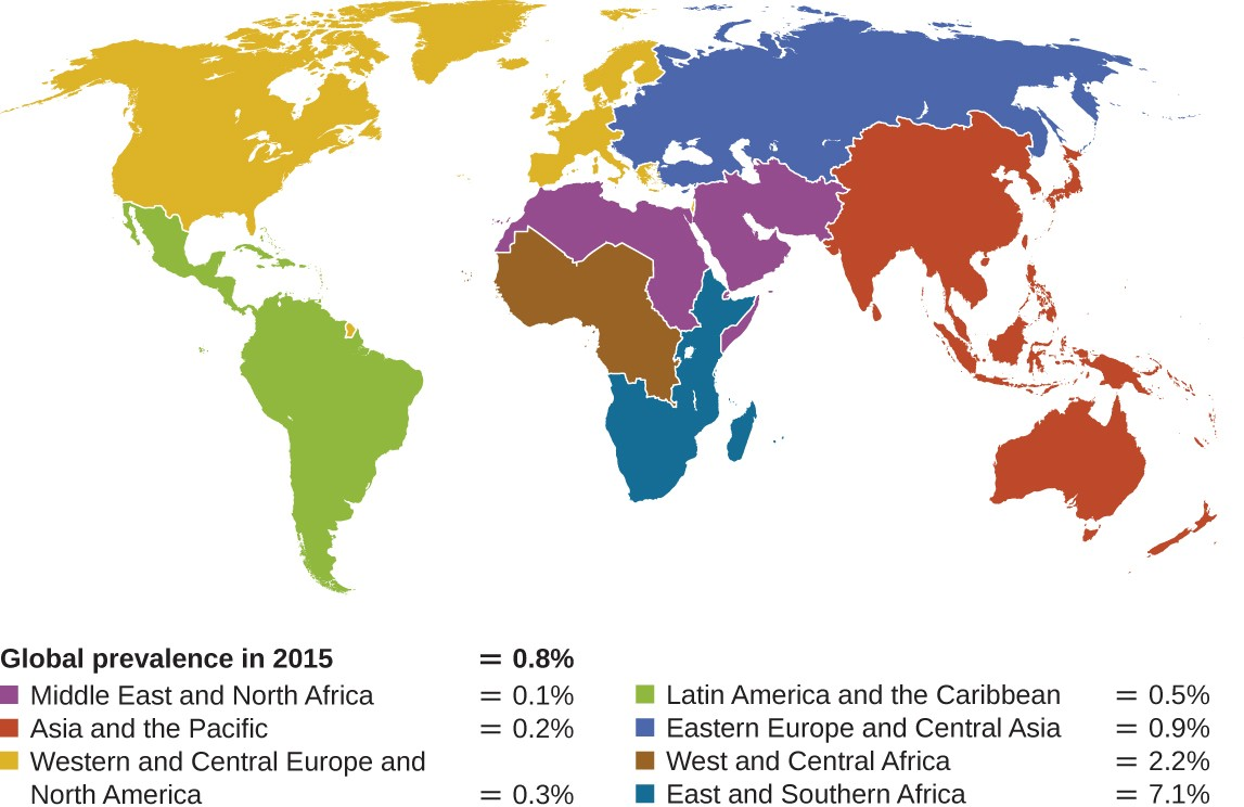 This map shows the prevalence of HIV worldwide in 2015 among adults ages 15–49 years.