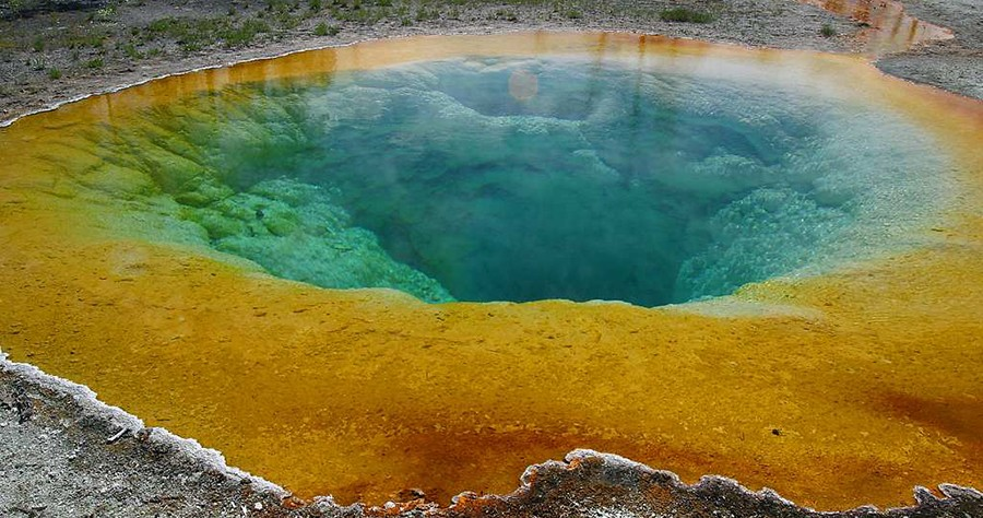Some archaea live in extreme environments, such as the Morning Glory pool, a hot spring in Yellowstone National Park. The color differences in the pool result from the different communities of microbes that are able to thrive at various water temperatures.