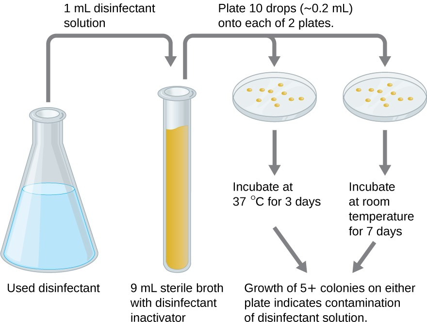 sneak peek test contamination