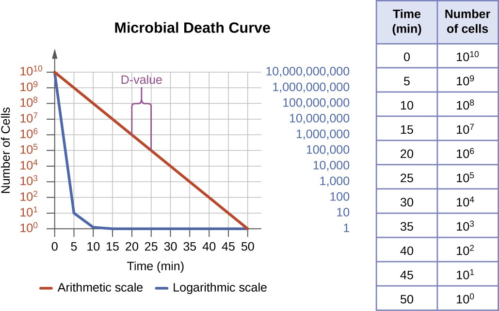 Microbial death is logarithmic and easily observed using a semilog plot instead of an arithmetic one. The decimal reduction time (D-value) is the time it takes to kill 90% of the population (a 1-log decrease in the total population) when exposed to a specific microbial control protocol, as indicated by the purple bracket.