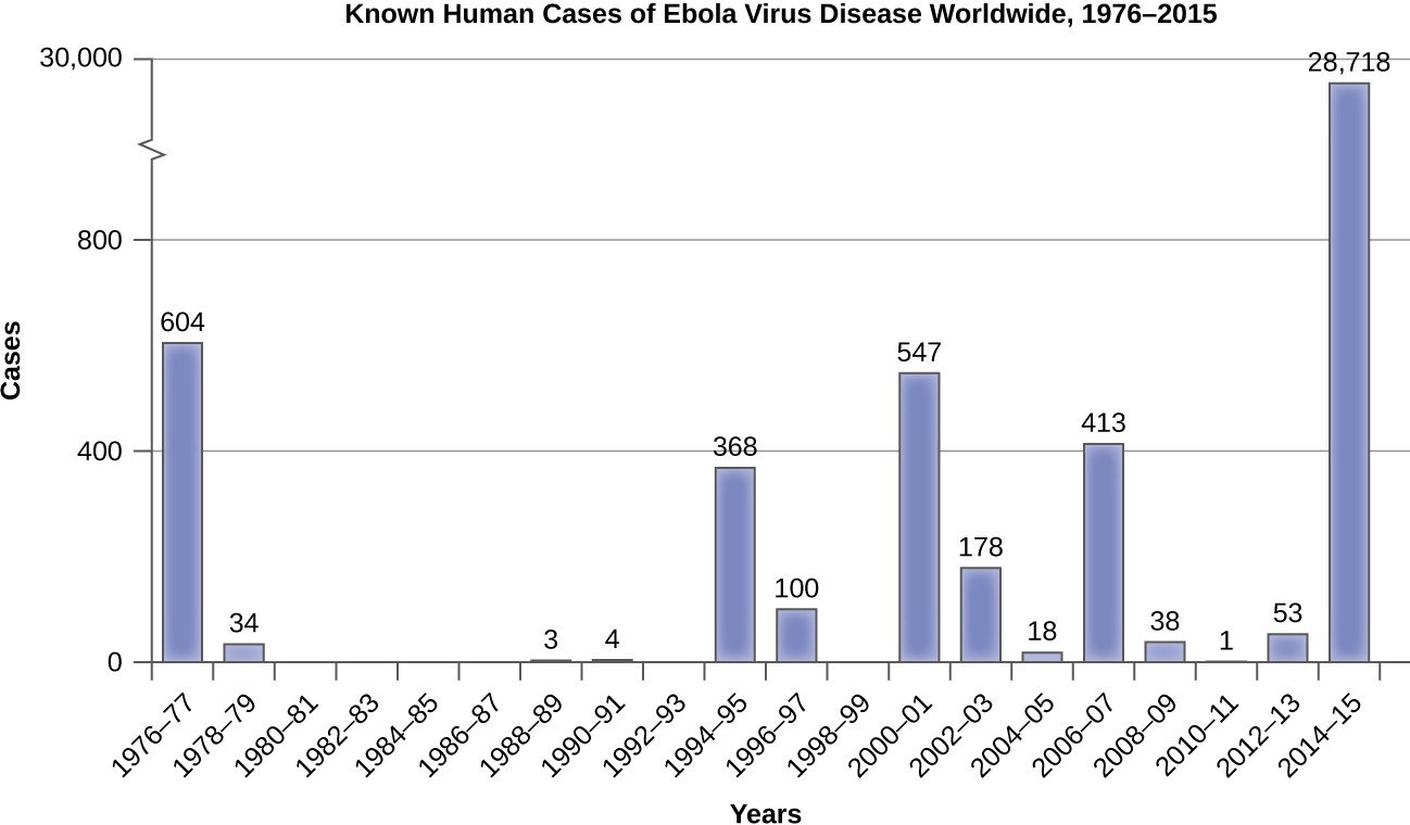 Even before the Ebola epidemic of 2014–15, Ebola was considered an emerging disease because of several smaller outbreaks between the mid-1990s and 2000s.