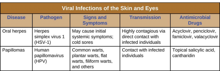 16 3 Viral Infections Of The Skin And Eyes Allied Health Microbiology