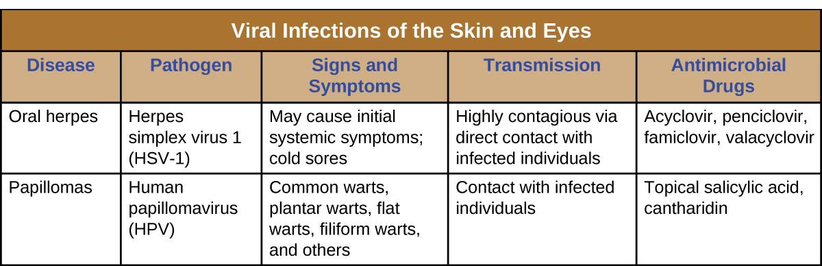 16.3 Viral Infections of the Skin and Eyes – Allied Health Microbiology