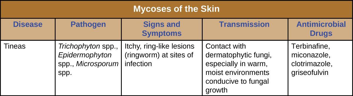 Figure 9 from Fungal Infections (Mycoses): Dermatophytoses (Tinea