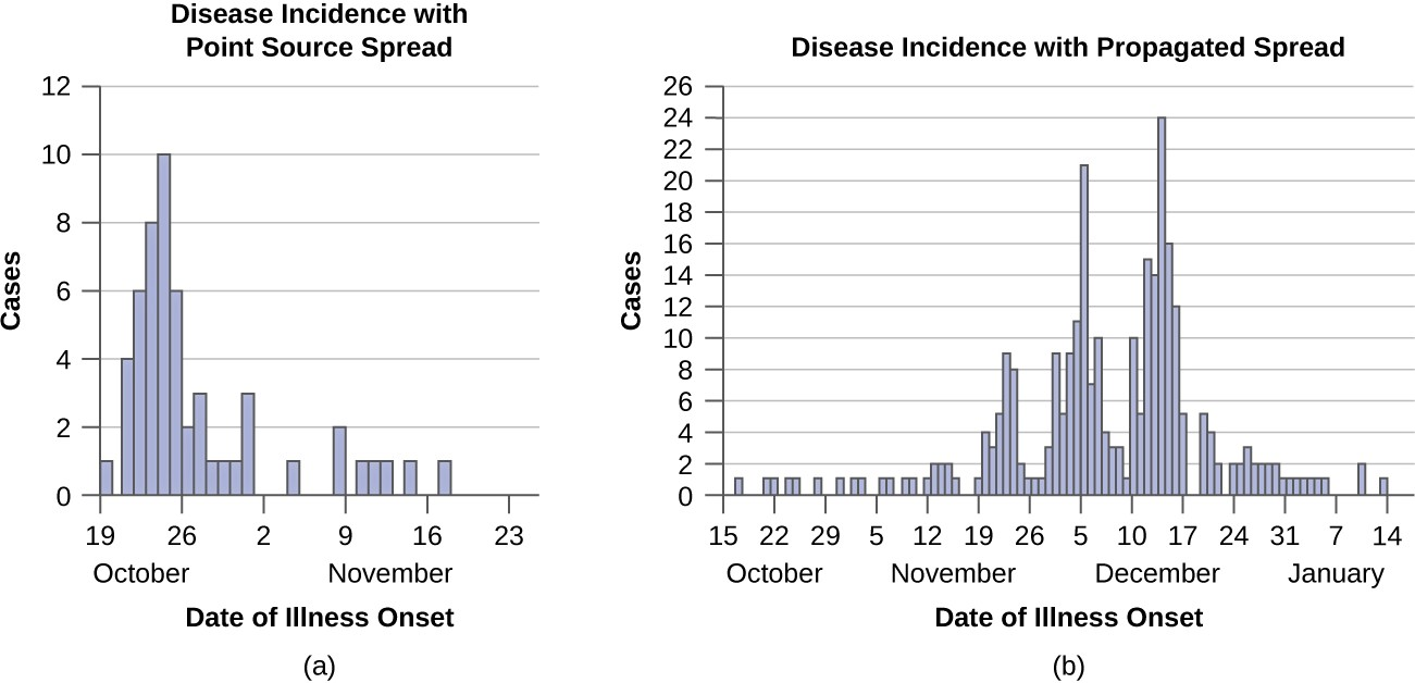 (a) Outbreaks that can be attributed to point source spread often have a short duration. (b) Outbreaks attributed to propagated spread can have a more extended duration.