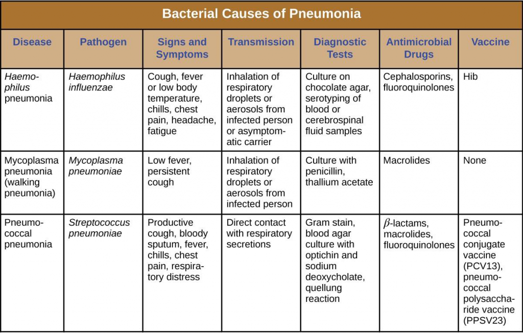 17.2 Bacterial Infections of the Respiratory Tract – Allied Health ...