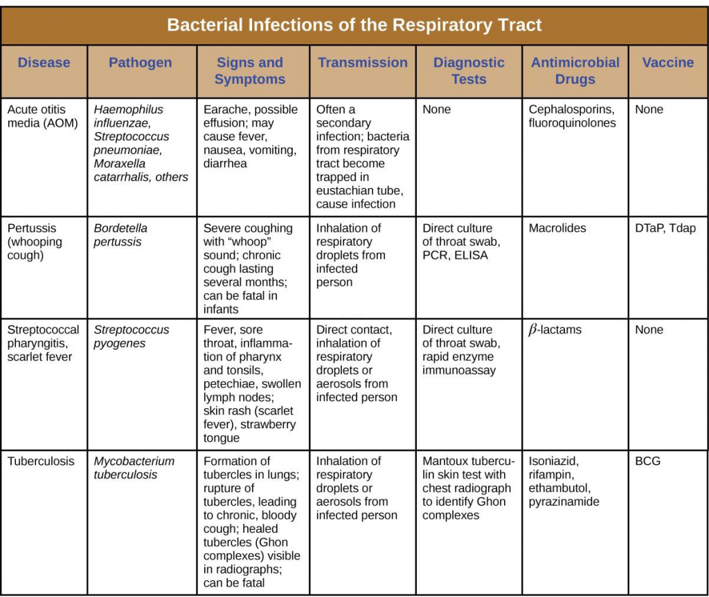 17.2 Bacterial Infections of the Respiratory Tract – Allied Health ...