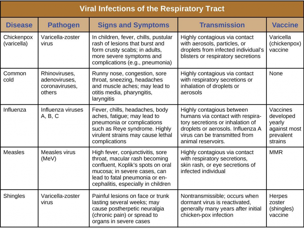 17.3 Viral Infections Of The Respiratory Tract – Allied Health Microbiology