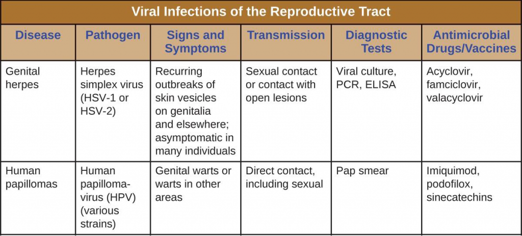 18 4 Viral Infections Of The Reproductive System Allied Health