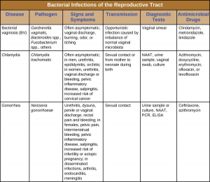 18.3 Bacterial Infections of the Reproductive System – Allied Health ...