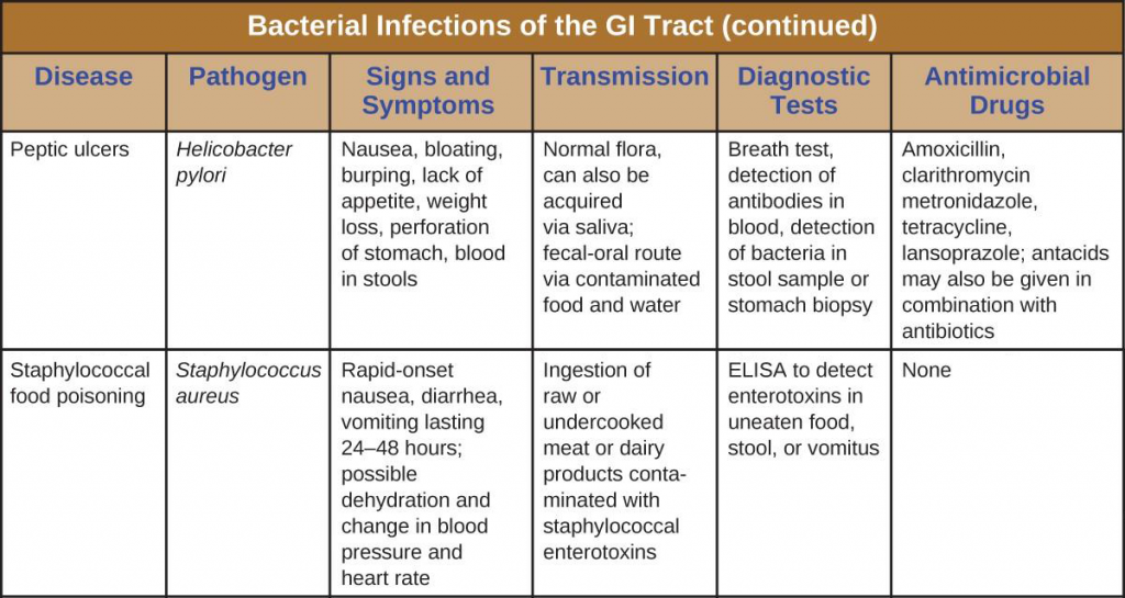 19.3 Bacterial Infections of the Gastrointestinal Tract – Allied Health ...