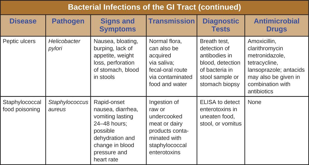 Names Of Intestinal Infections