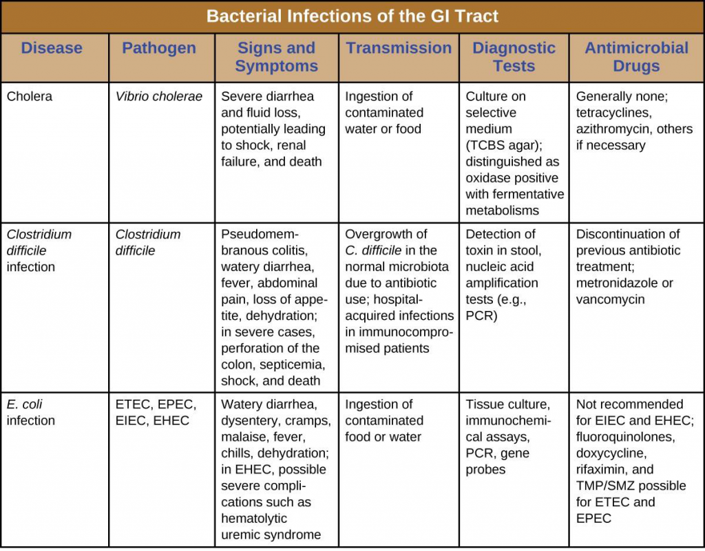 19.3 Bacterial Infections Of The Gastrointestinal Tract – Allied Health ...