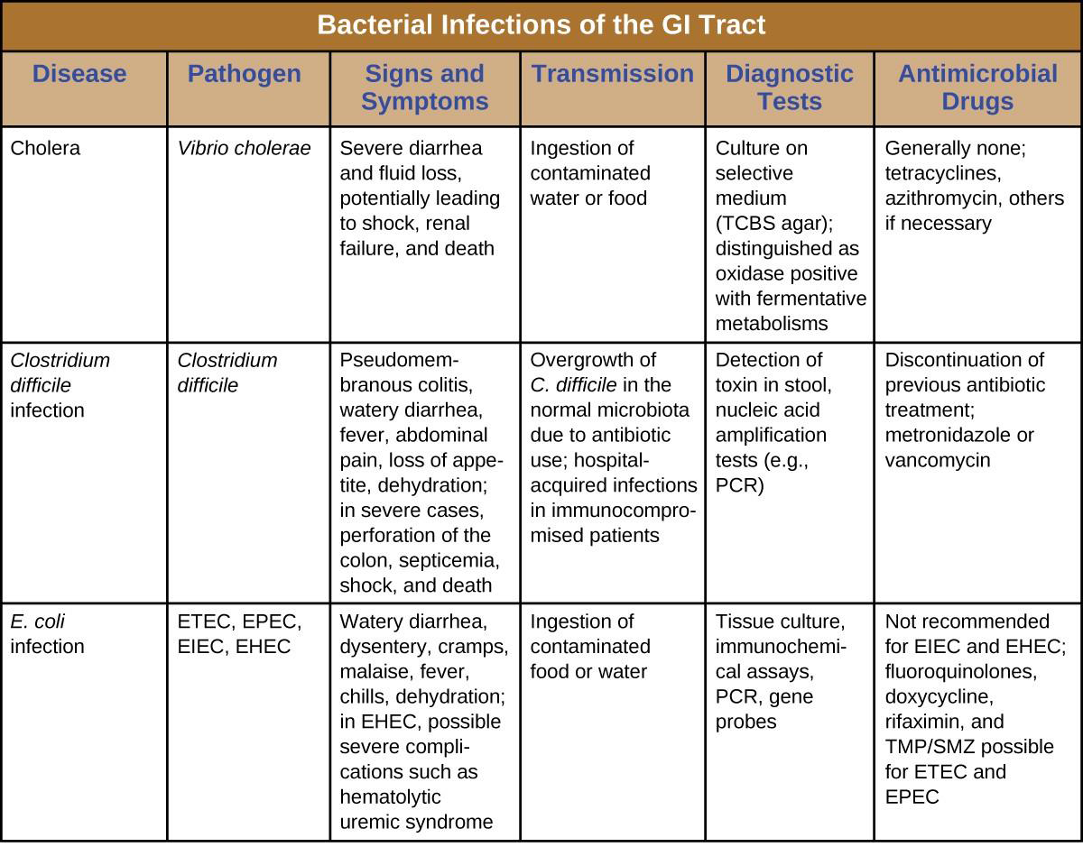 Names Of Intestinal Infections