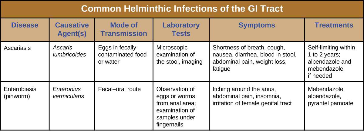 19-6-helminthic-infections-of-the-gastrointestinal-tract-allied