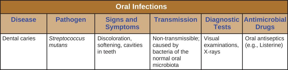 types of oral diseases