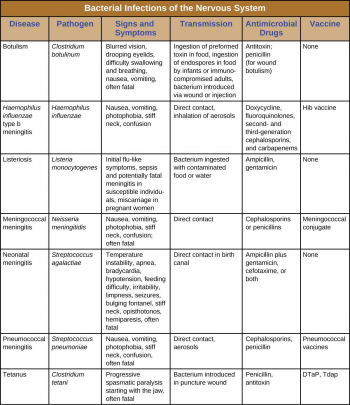 21.2 Bacterial Diseases of the Nervous System – Allied Health Microbiology