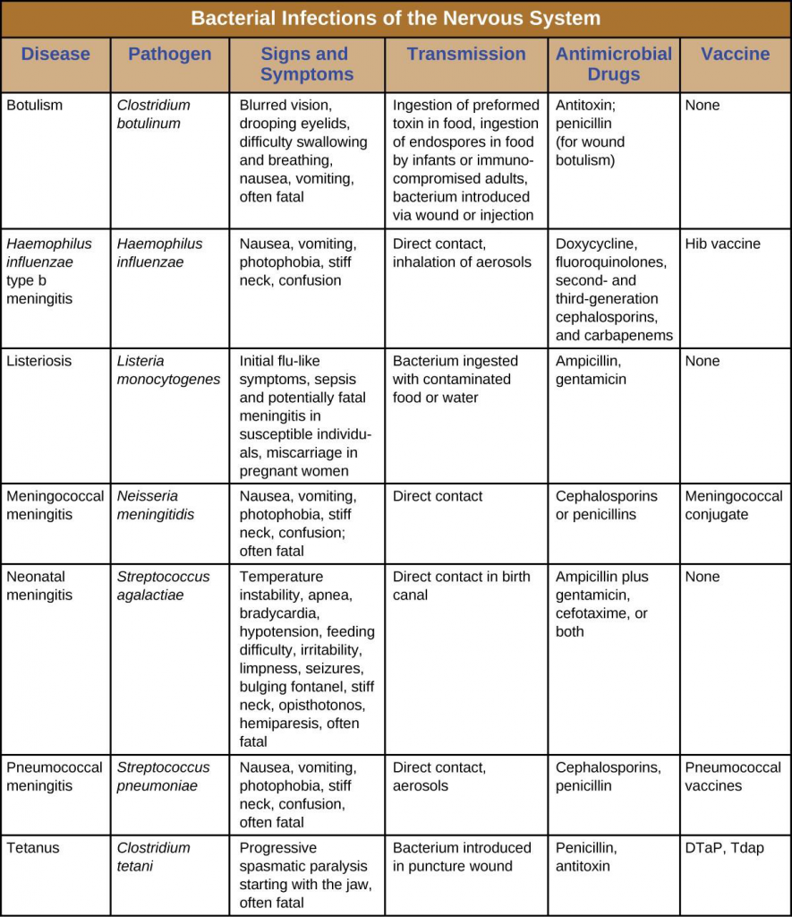 21.2 Bacterial Diseases of the Nervous System – Allied Health Microbiology