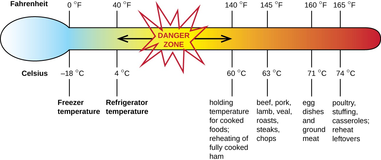 This figure indicates safe internal temperatures associated with the refrigeration, cooking, and reheating of different foods. Temperatures above refrigeration and below the minimum cooking temperature may allow for microbial growth, increasing the likelihood of foodborne disease.