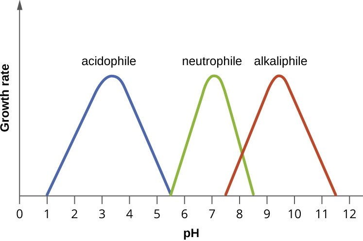 The curves show the approximate pH ranges for the growth of the different classes of pH-specific prokaryotes. Each curve has an optimal pH and extreme pH values at which growth is much reduced. Most bacteria are neutrophiles and grow best at near-neutral pH (center curve). Acidophiles have optimal growth at pH values near 3 and alkaliphiles have optimal growth at pH values above 9.