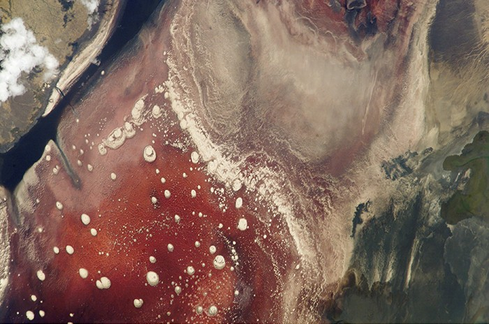 View from space of Lake Natron in Tanzania. The pink color is due to the pigmentation of the extreme alkaliphilic and halophilic microbes that colonize the lake.