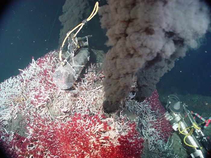 A black smoker at the bottom of the ocean belches hot, chemical-rich water, and heats the surrounding waters. Sea vents provide an extreme environment that is nonetheless teeming with macroscopic life (the red tubeworms) supported by an abundant microbial ecosystem.