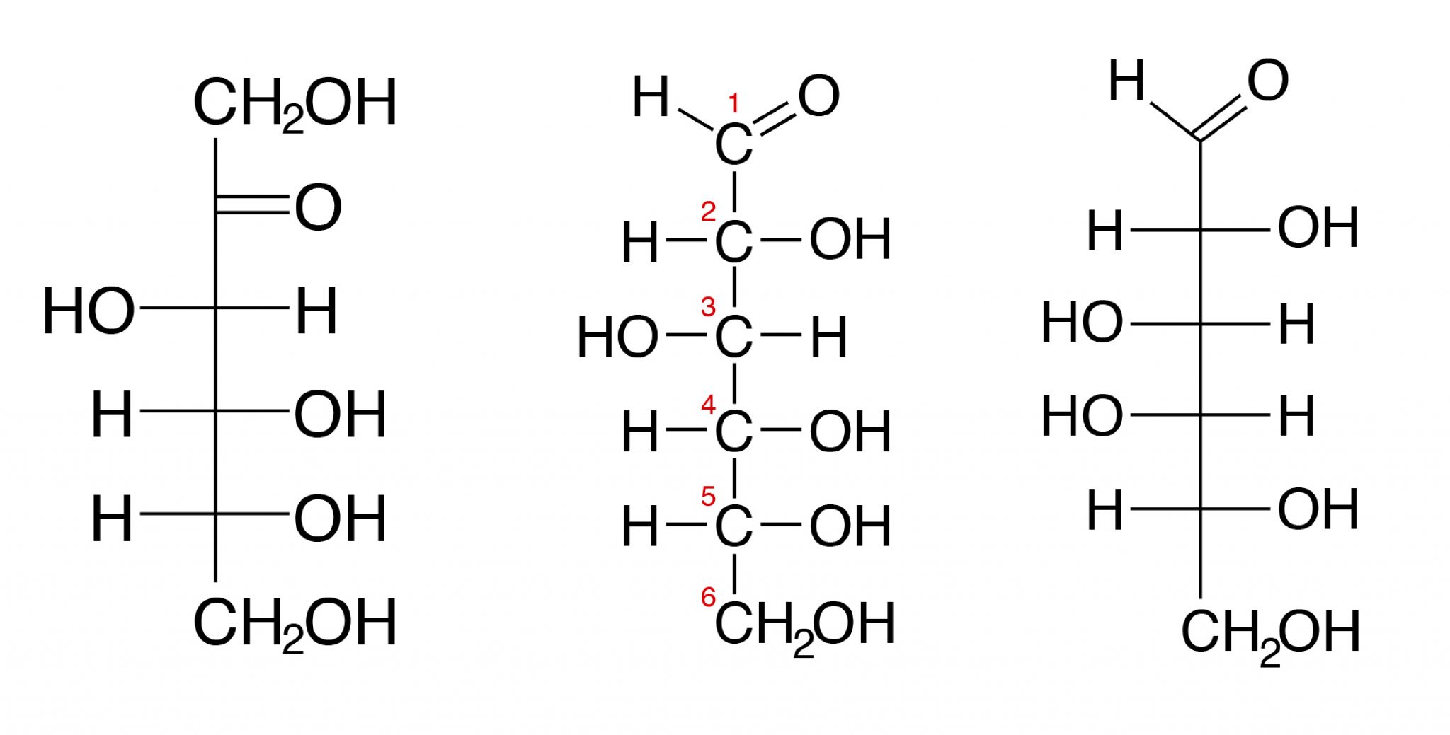 III. Carbohydrates, Structures and Types A Guide to the Principles of