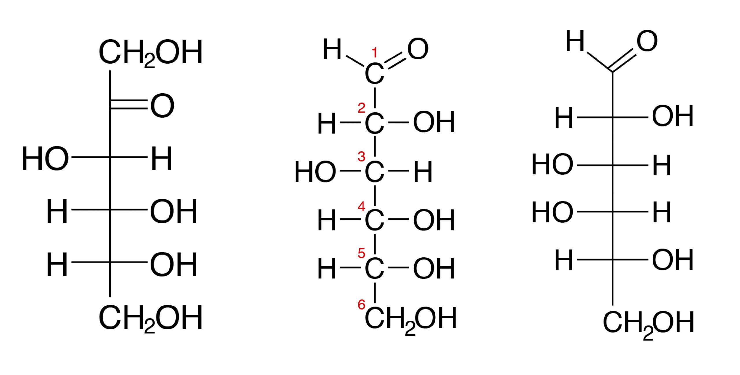 carbohydrates structure