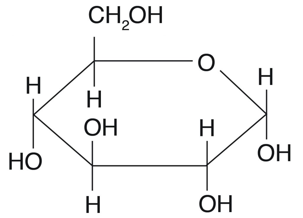 Carbohydrates Diagram Of Molecule