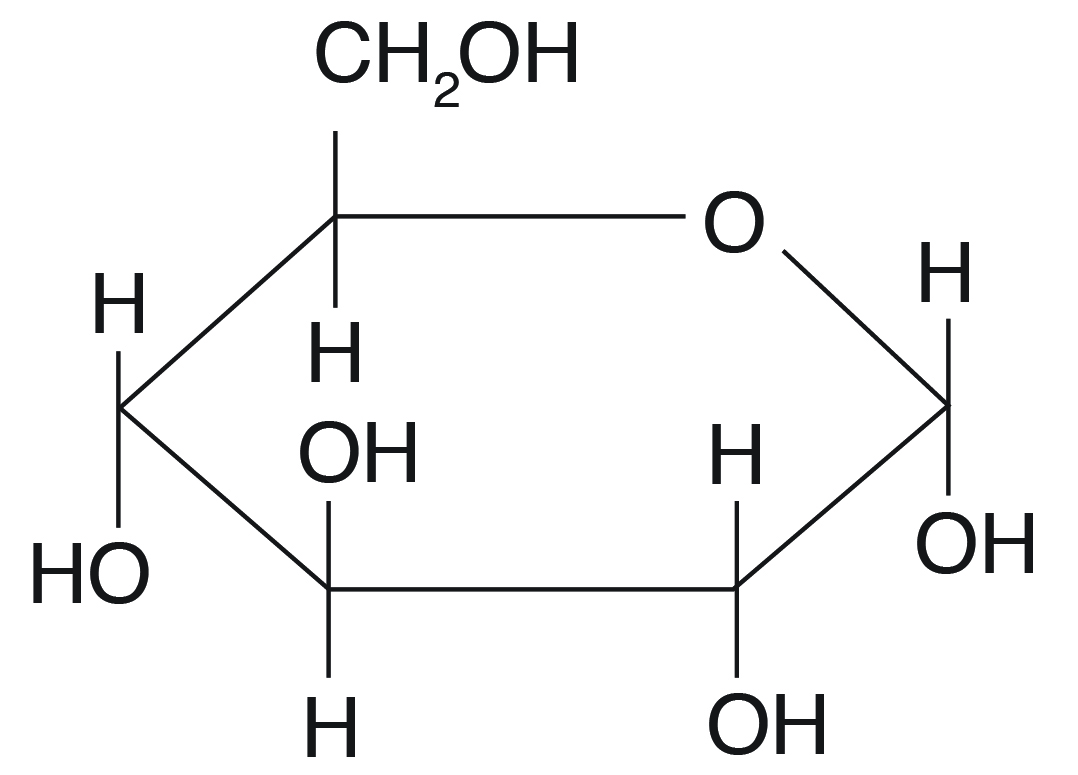 what-is-the-stored-carbohydrate-in-animals-hook-counces