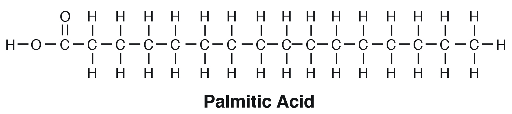 simple saturated fat molecule