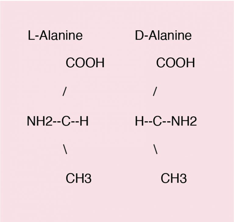 animal-nutrition-37-768x727.jpg